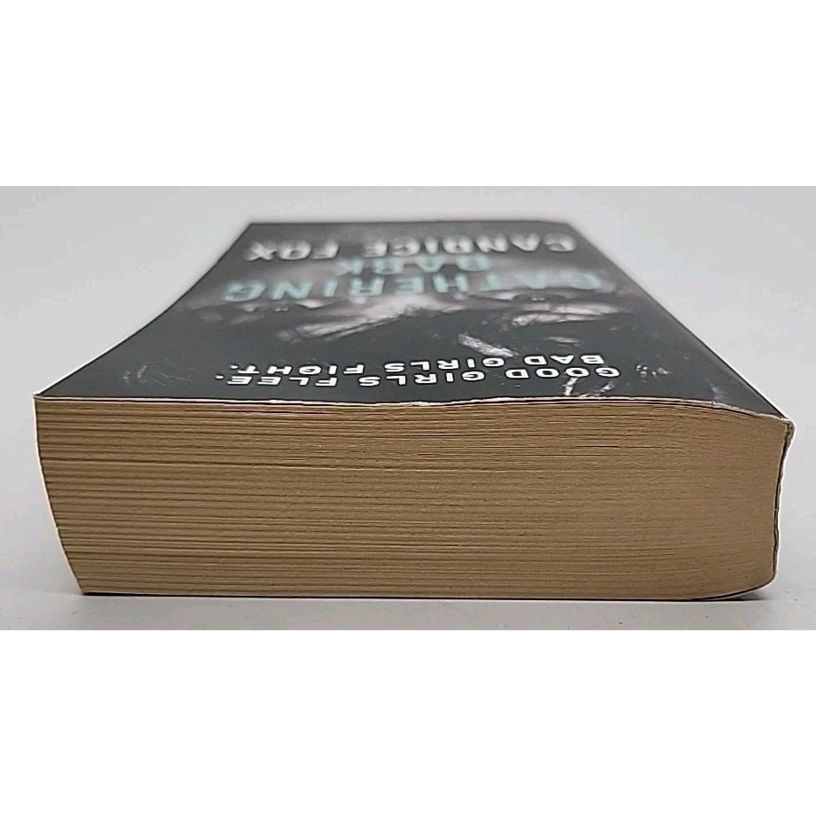 Gathering Dark by Candice Fox (2022, Mass Market)