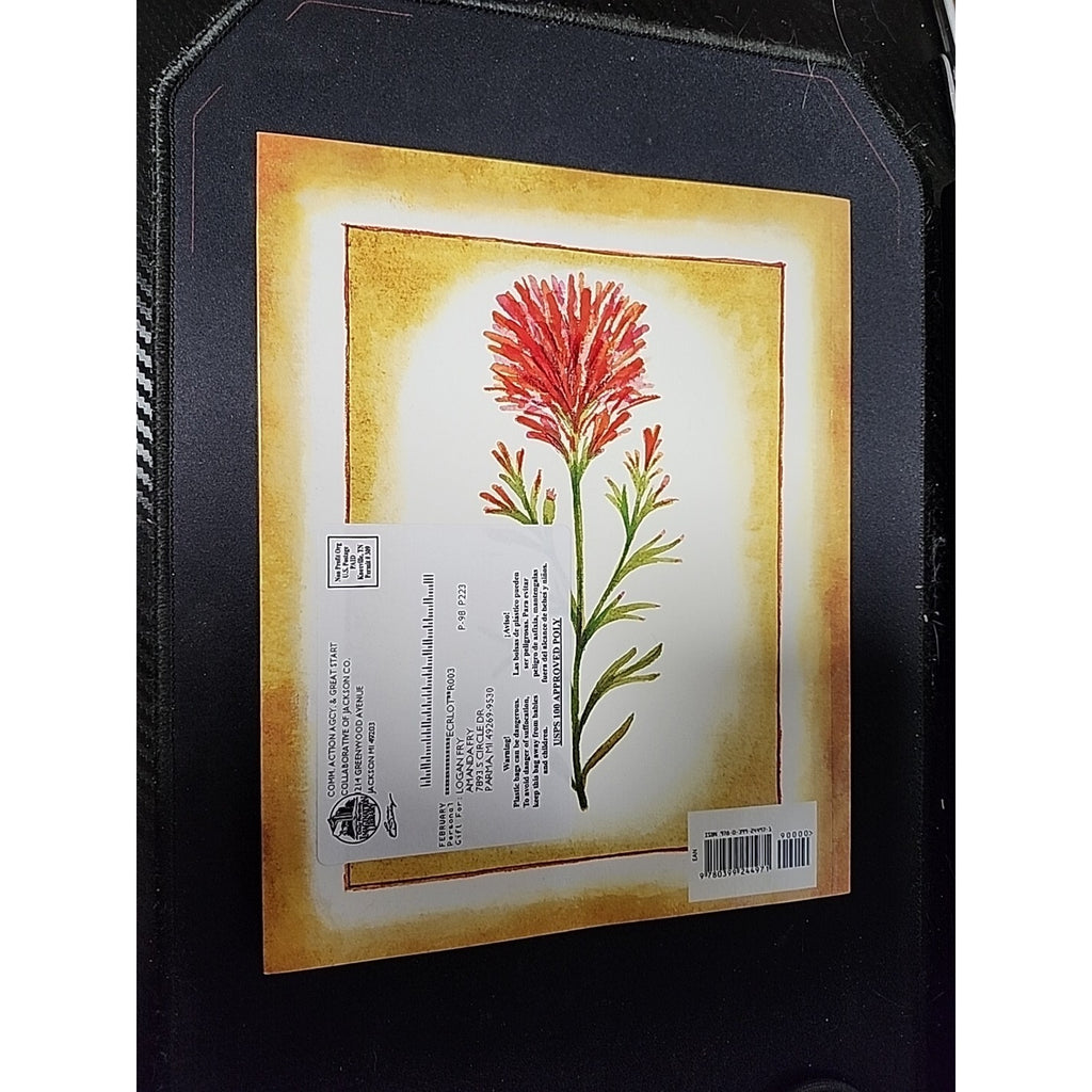 The Legend of the Indian Paintbrush - Paperback By De Paola, Tomie