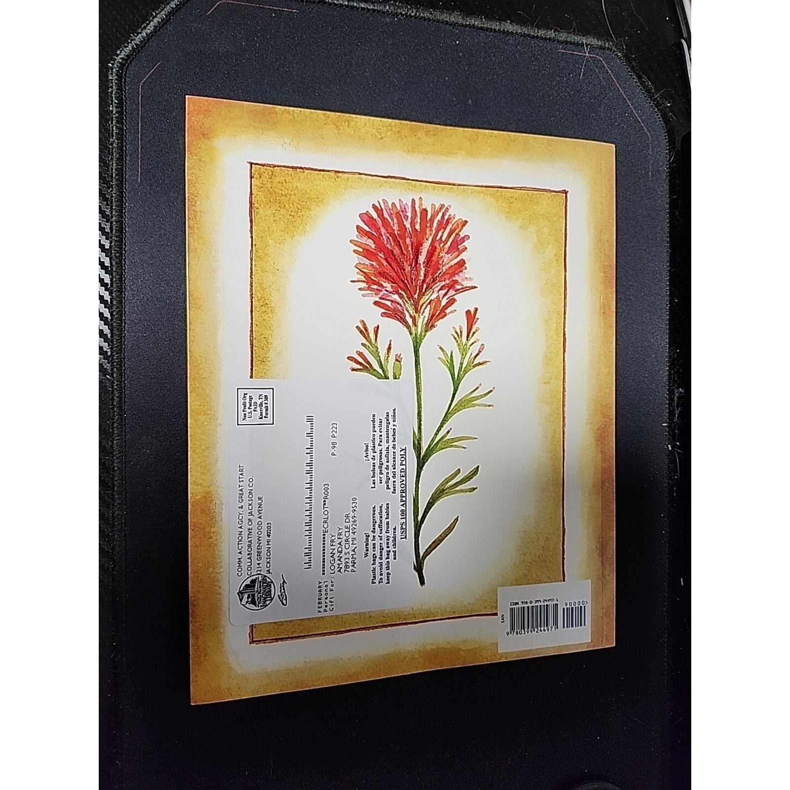 The Legend of the Indian Paintbrush - Paperback By De Paola, Tomie