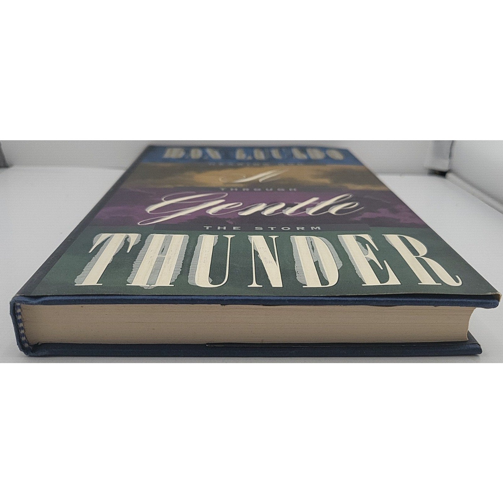 Gentle Thunder : Hearing God Through the Storm by Max Lucado (1995, Hardcover)