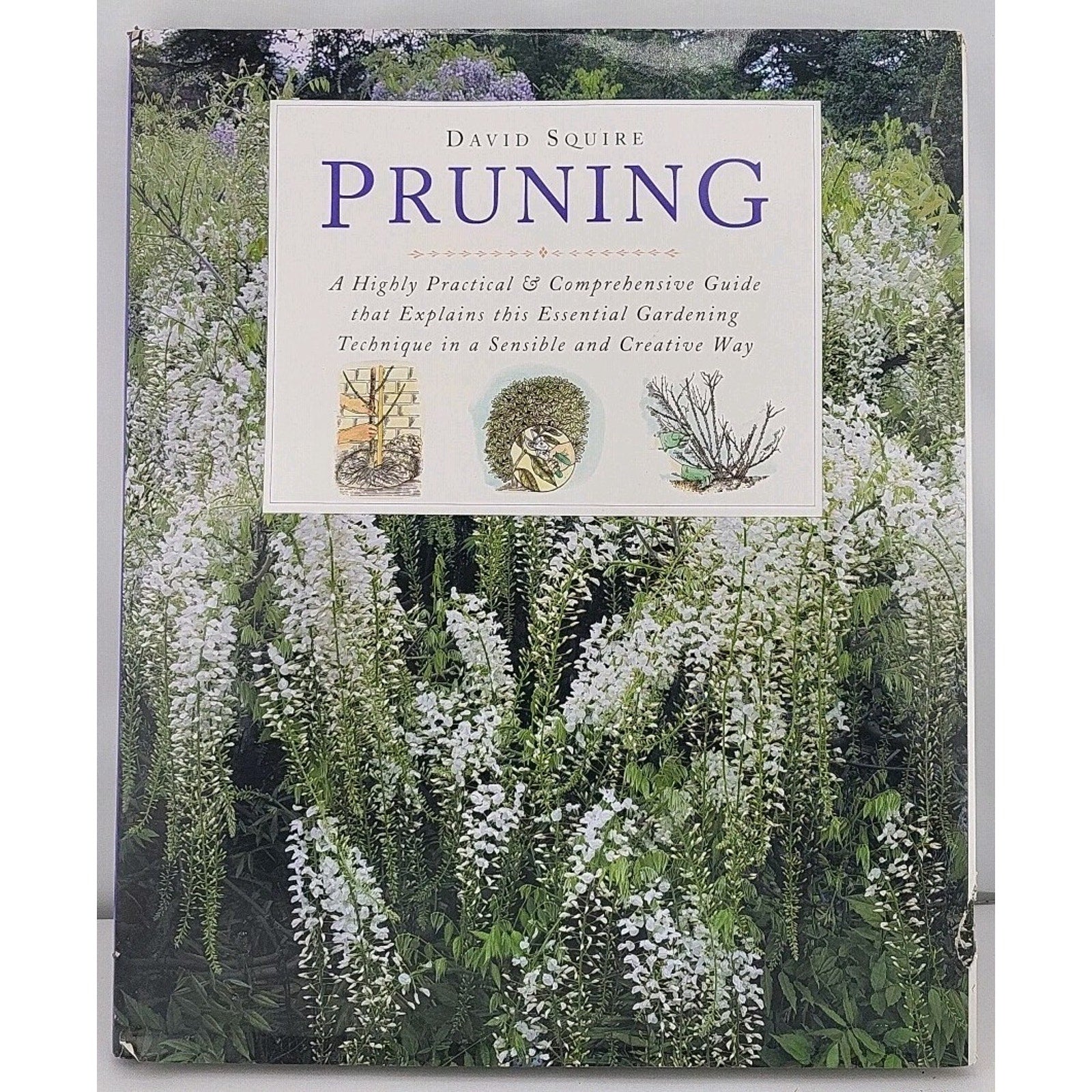 Pruning by David Squire (1995, Hardcover)