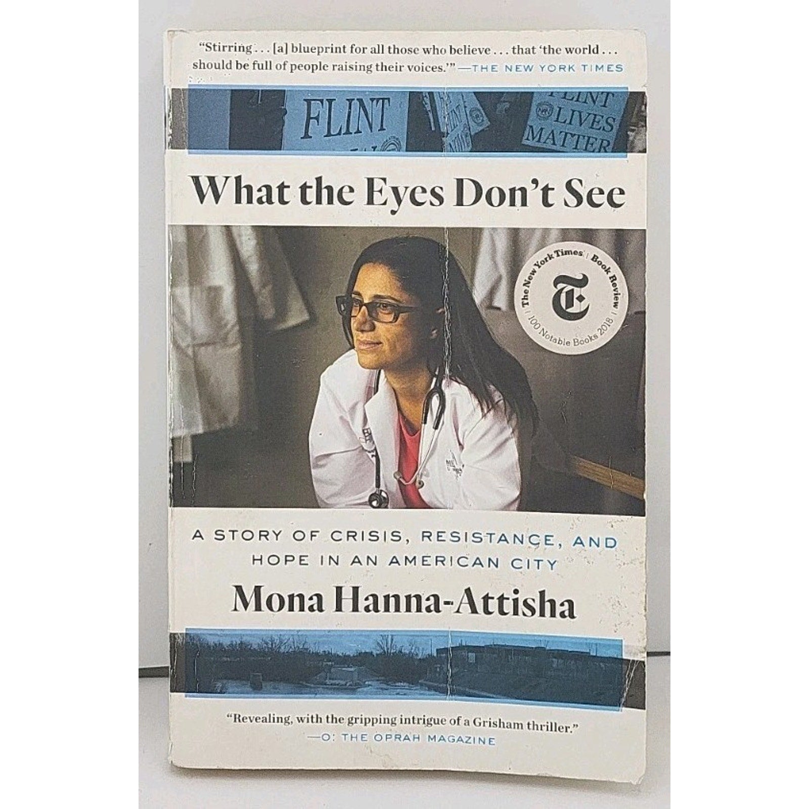 What the Eyes Don't See : A Story of Crisis, Resistance, and Hope in an American