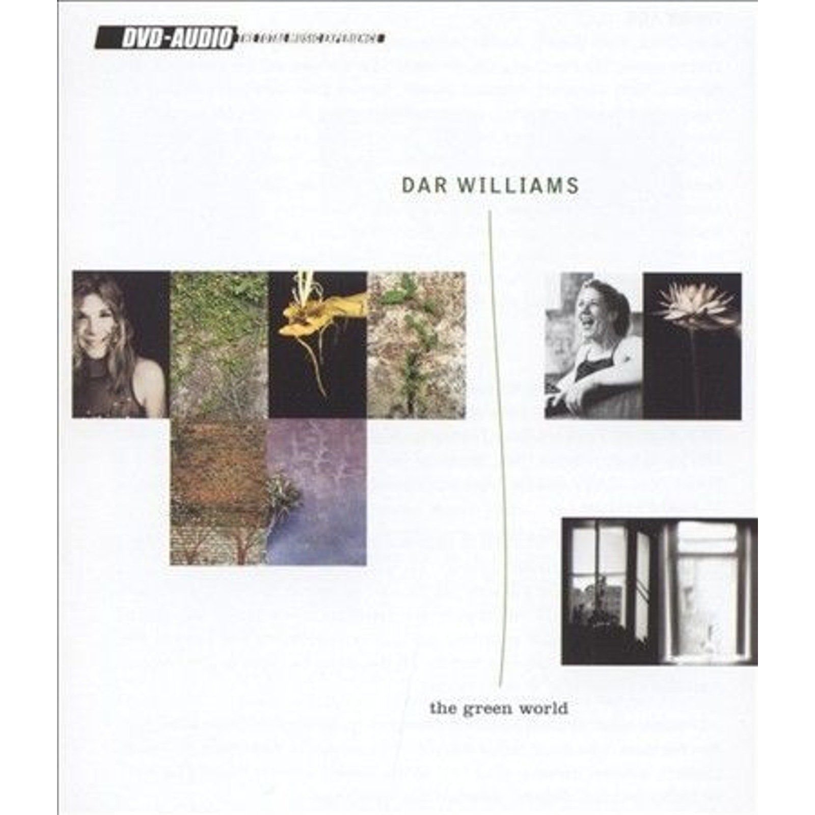The Green World by Dar Williams (CD, Aug-2000, Razor & Tie)