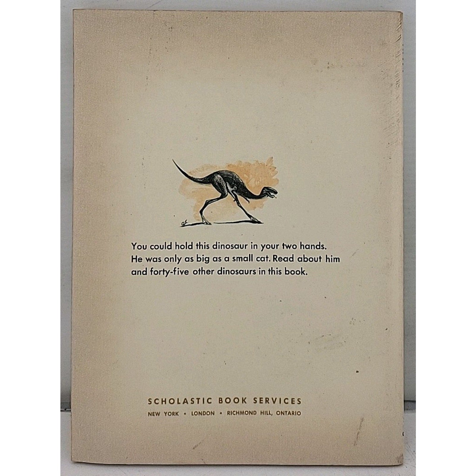 Dinosaurs and More Dinosaurs - Paperback By Craig, M. Jean