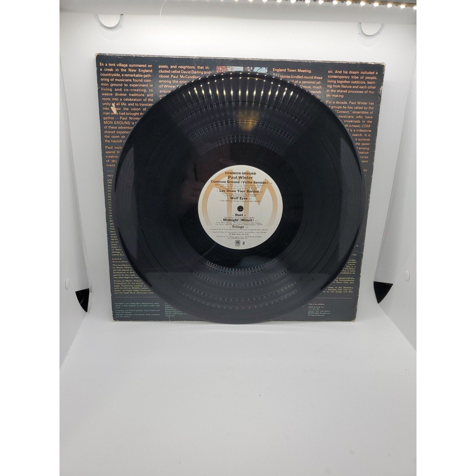 Paul Winter Common Ground (Record)