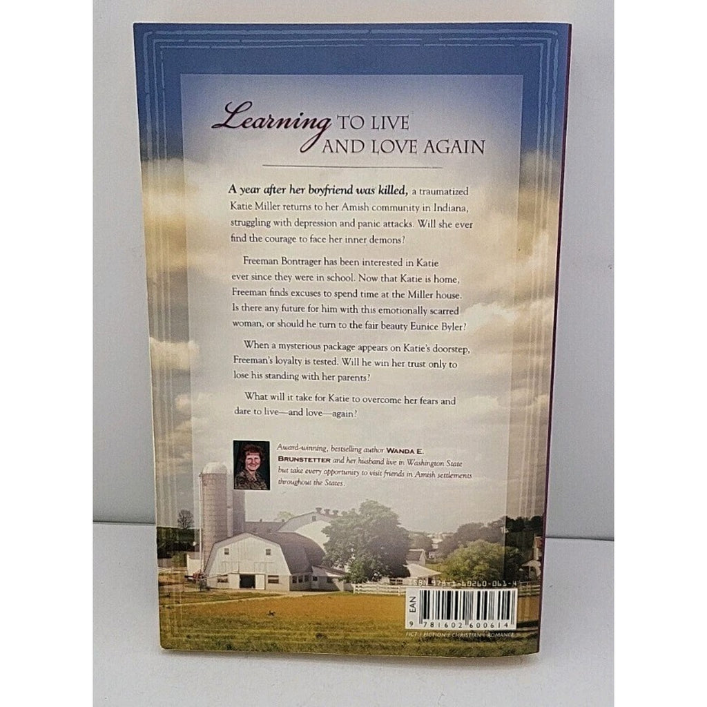 Cousin's Prayer by Wanda E. Brunstetter (2009, Trade Paperback)