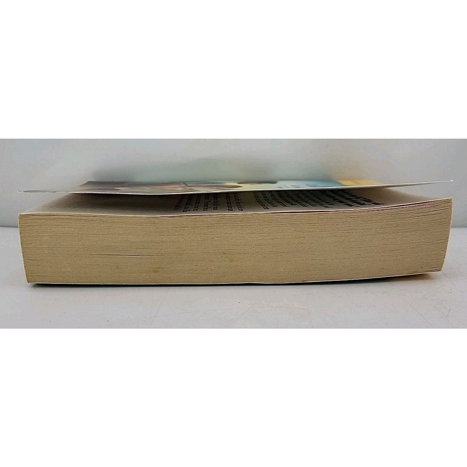 Lies That Bind by Barbara McMahon (2006, Larger Print)