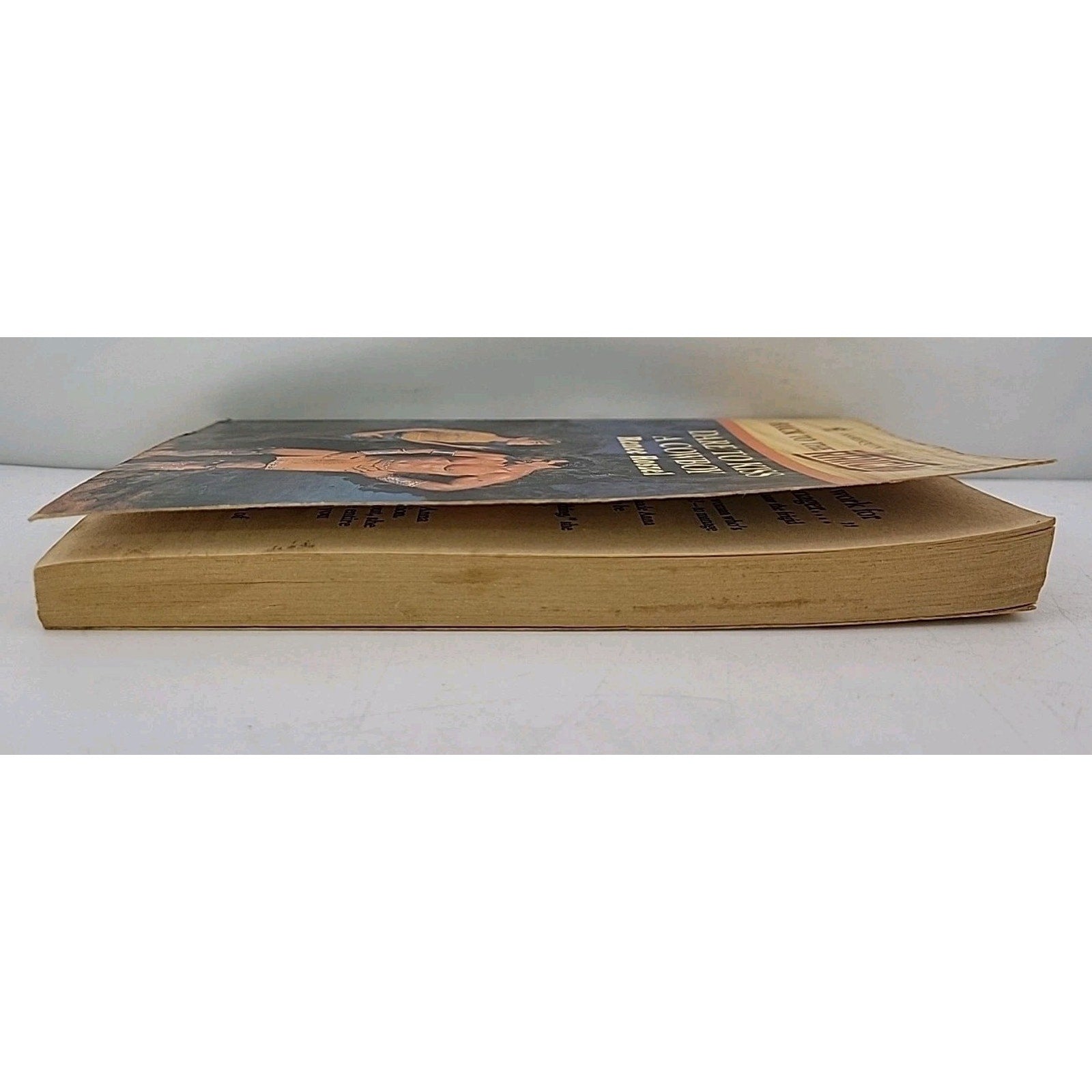 Dare to Kiss a Cowboy by Renee Roszel (1994, Mass Market)