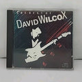 The Best Of David Wilcox CD