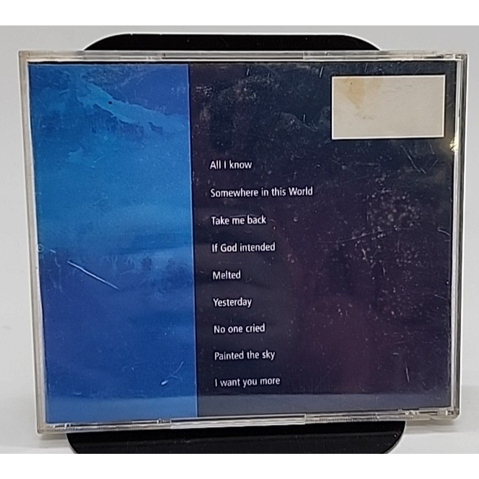 Sarah Mcbride Painted The Sky (CD)