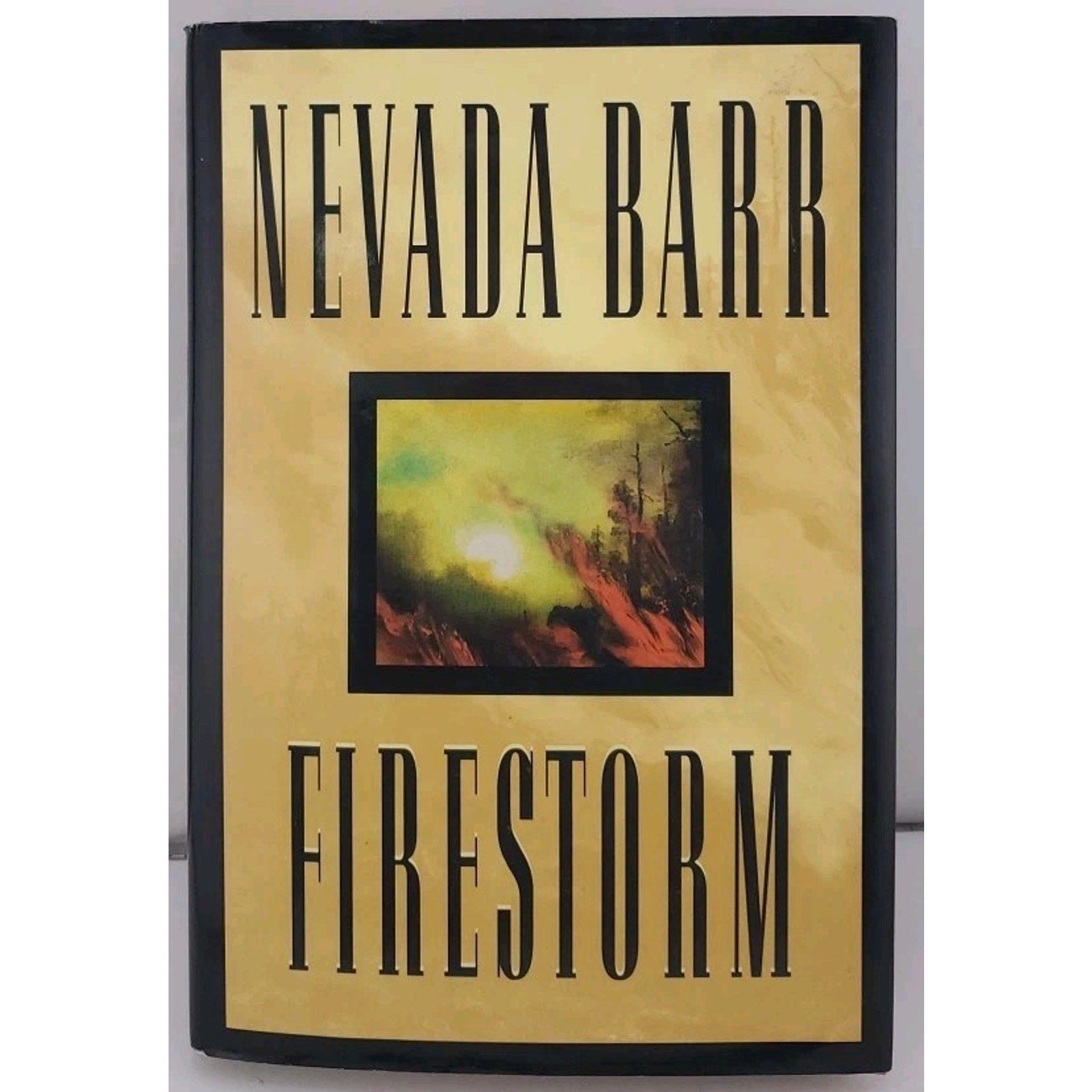 Firestorm by Nevada Barr (1996, Hardcover)