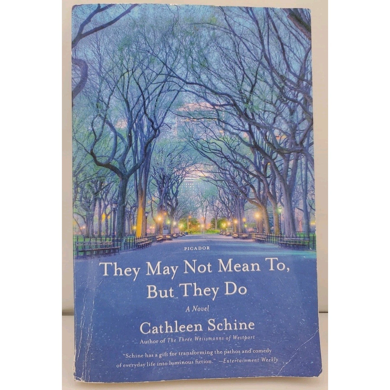 They May Not Mean to, but They Do : A Novel by Cathleen Schine (2017, Trade...