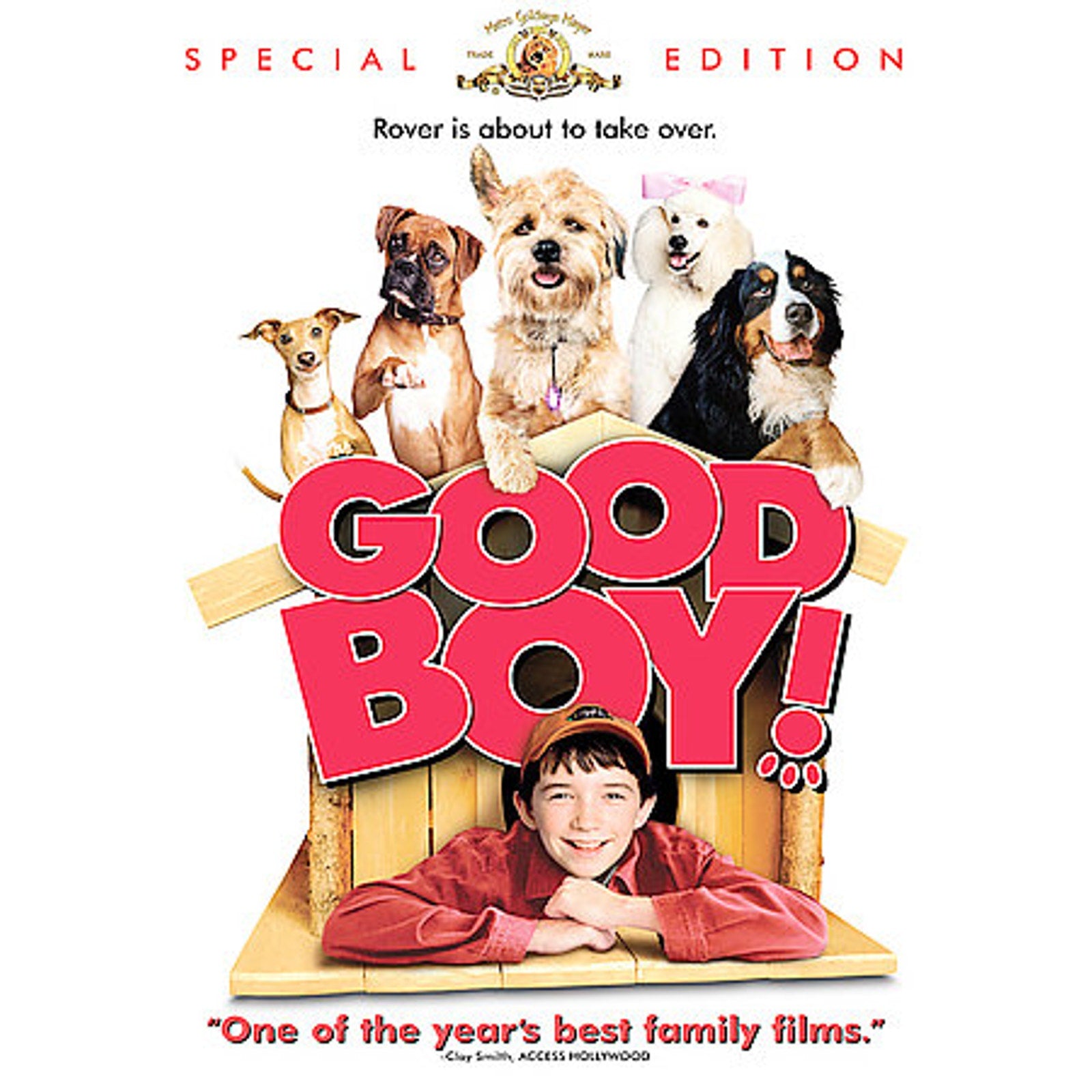 Good Boy (DVD, 2009, DVD Cash)