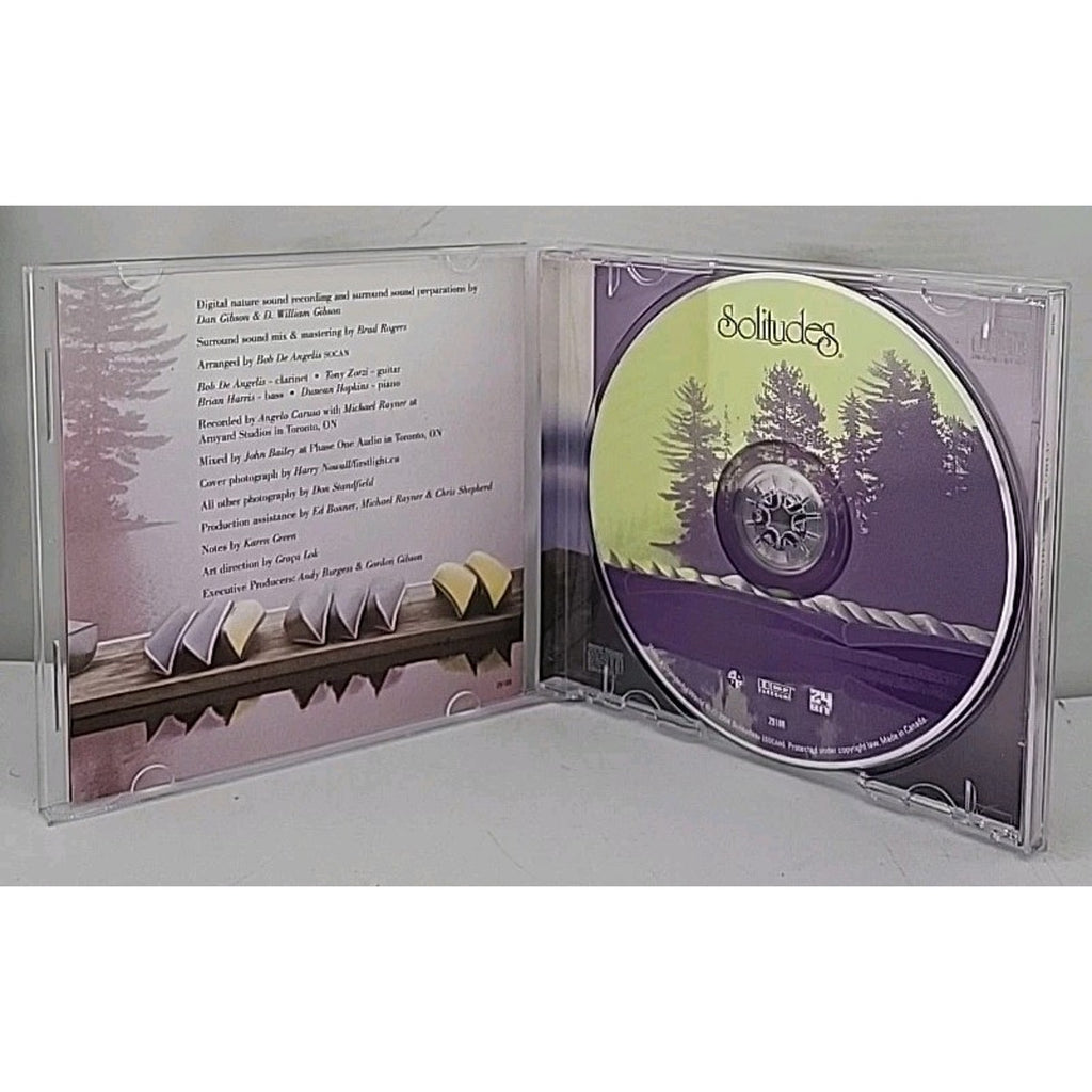 What a Wonderful World by Dan Gibson (CD, 2004)