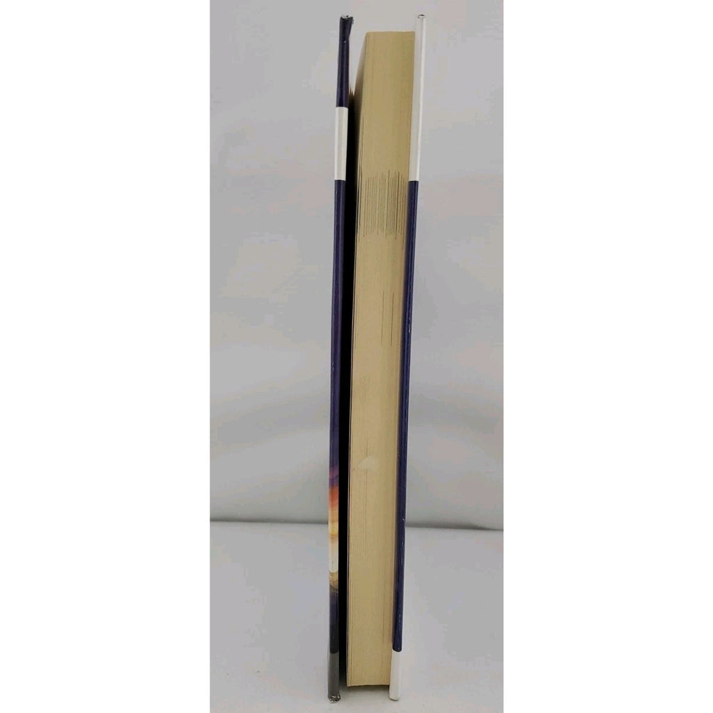 Borrowed Tides by Paul Levinson (2001, Hardcover)
