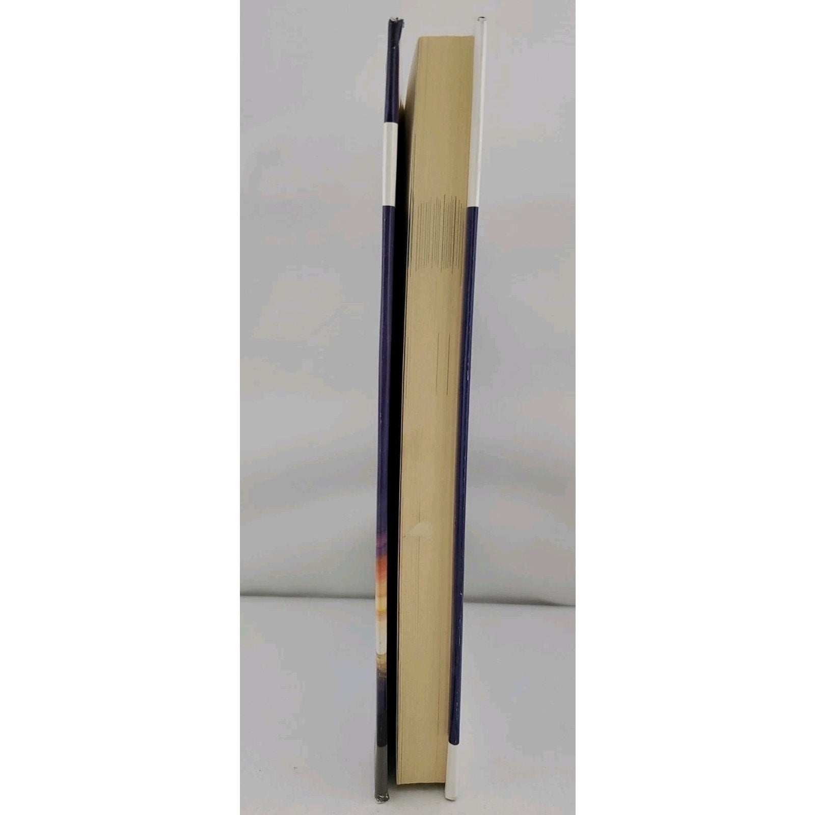 Borrowed Tides by Paul Levinson (2001, Hardcover)