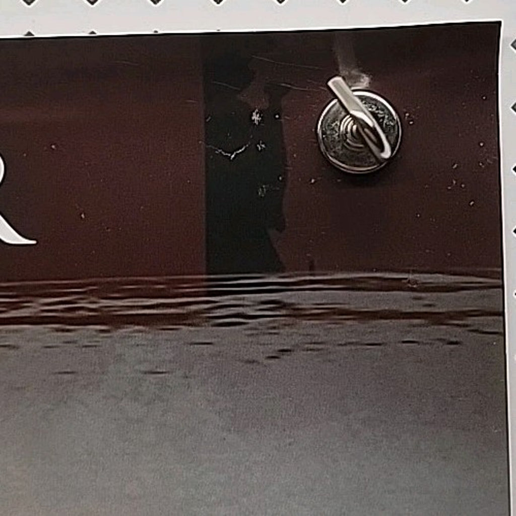 Last King of Scotland Original Video Release Poster 27 x 40 Rolled