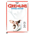 Gremlins (DVD, 2002, Special Edition)