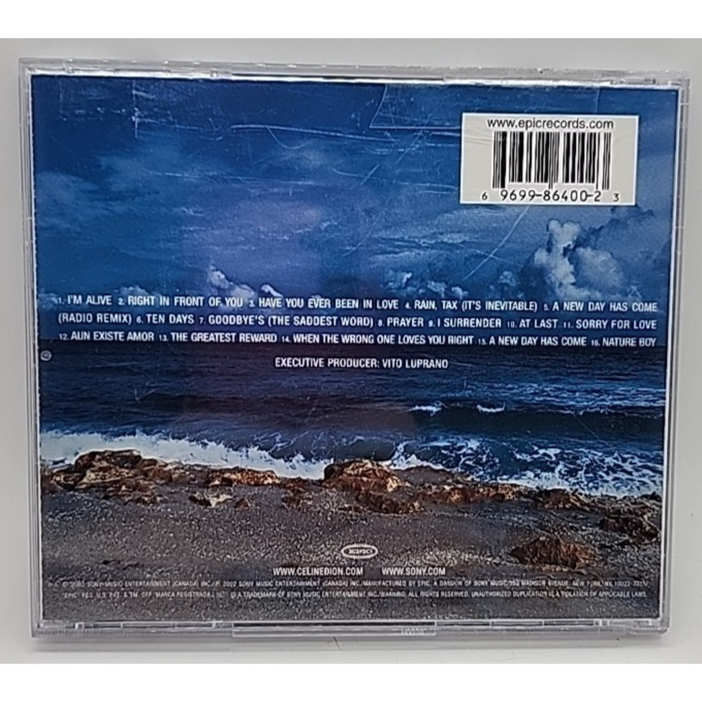New Day Has Come by Celine Dion (CD, 2002)