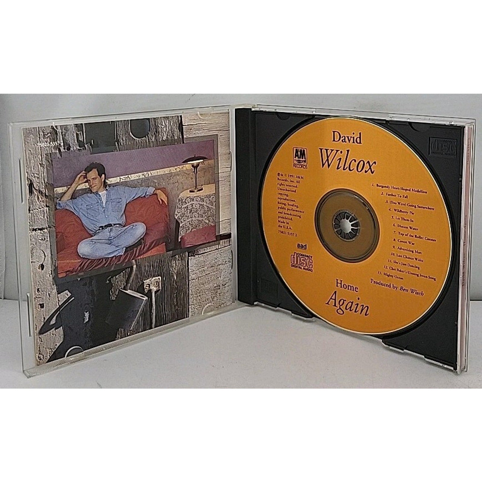 Home Again by David Wilcox (CD, 1991)