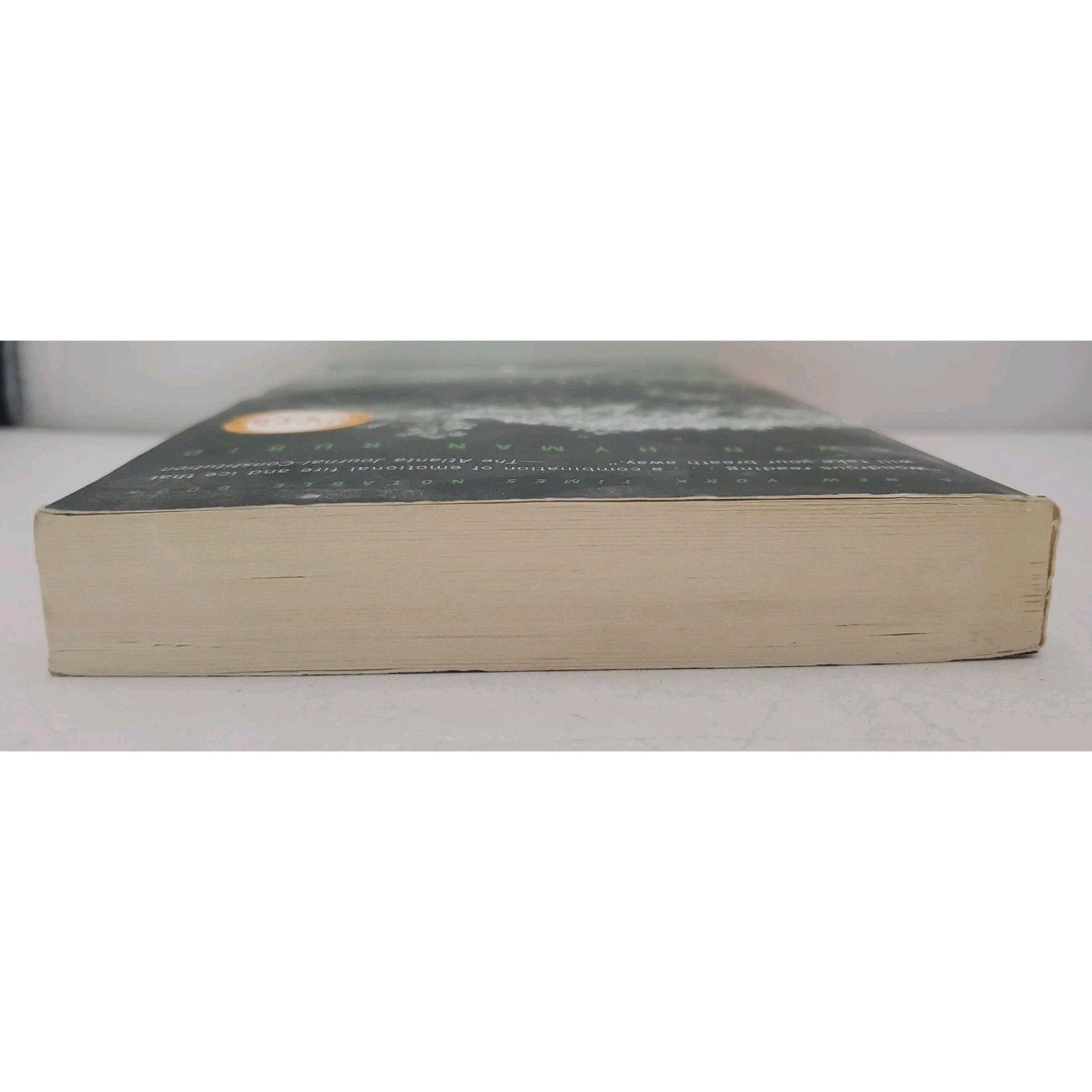 Icy Sparks : Oprah's Book Club (a Novel) by Gwyn Hyman Rubio (2001, Uk-B Format