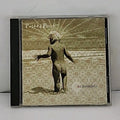 Remember by Rusted Root (CD, 1996)