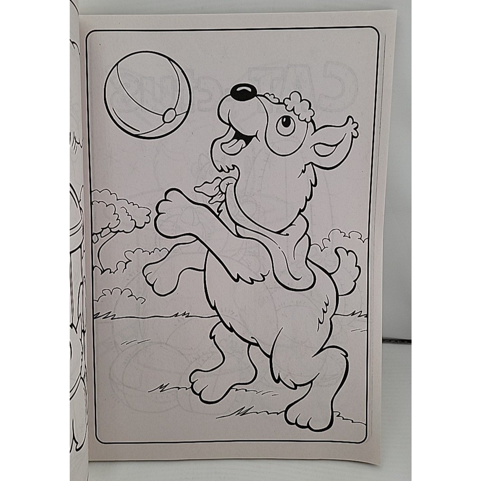 Puppies & Kitties Jumbo Coloring And Activity Book