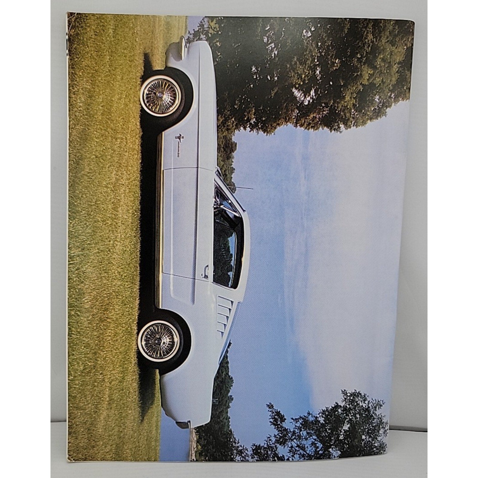 Mustang Times August 1991 Magazine