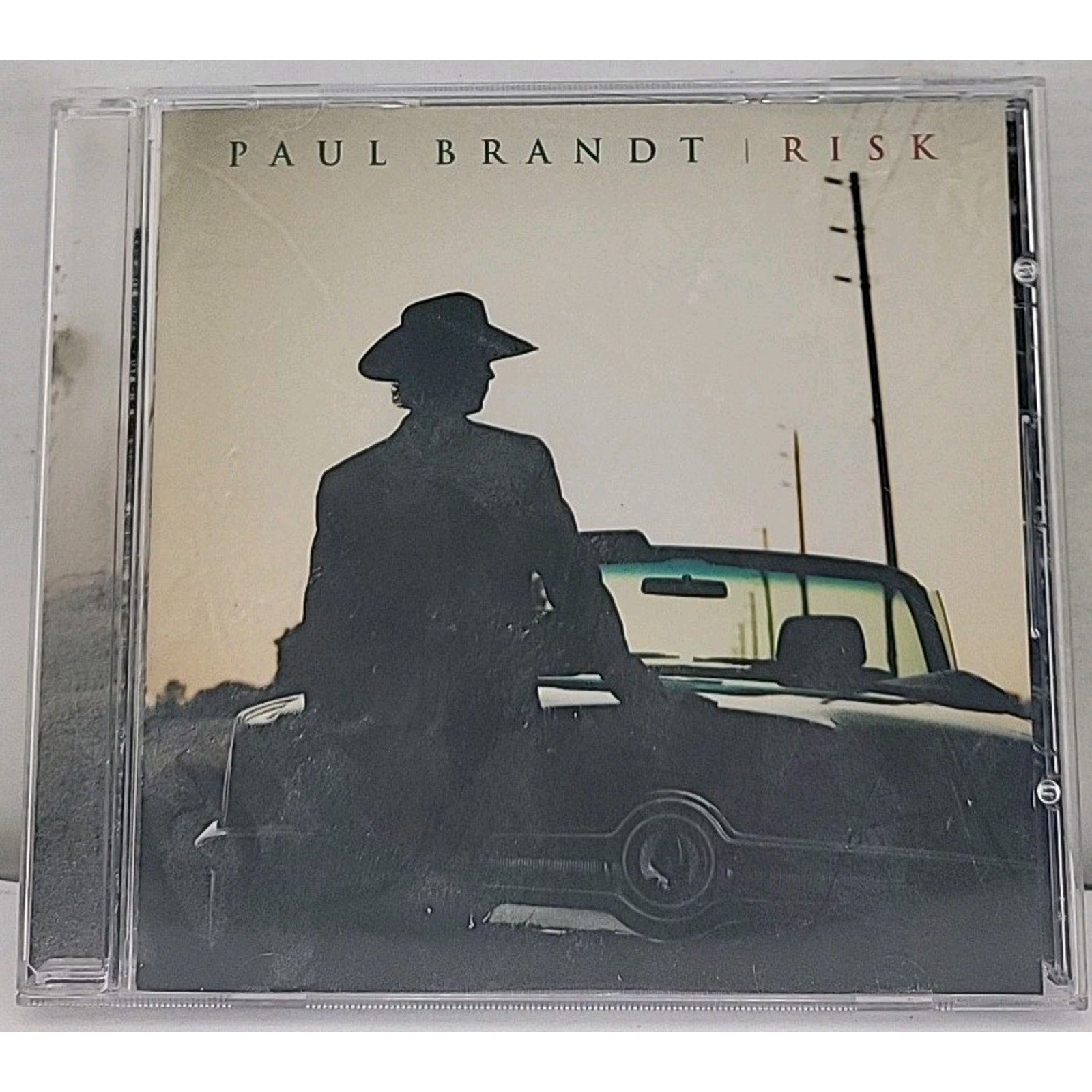 Risk by Brandt, Paul (CD, 2018)