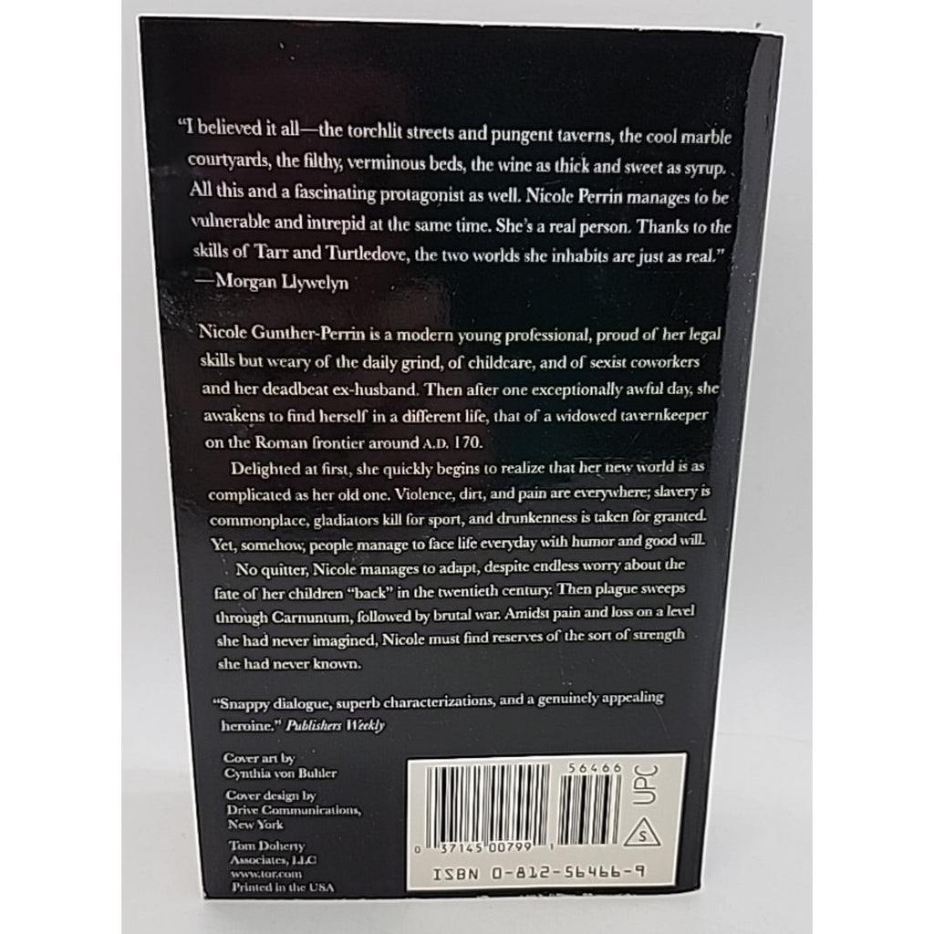 Household Gods by Harry Turtledove and Judith Tarr (2000, Mass Market)