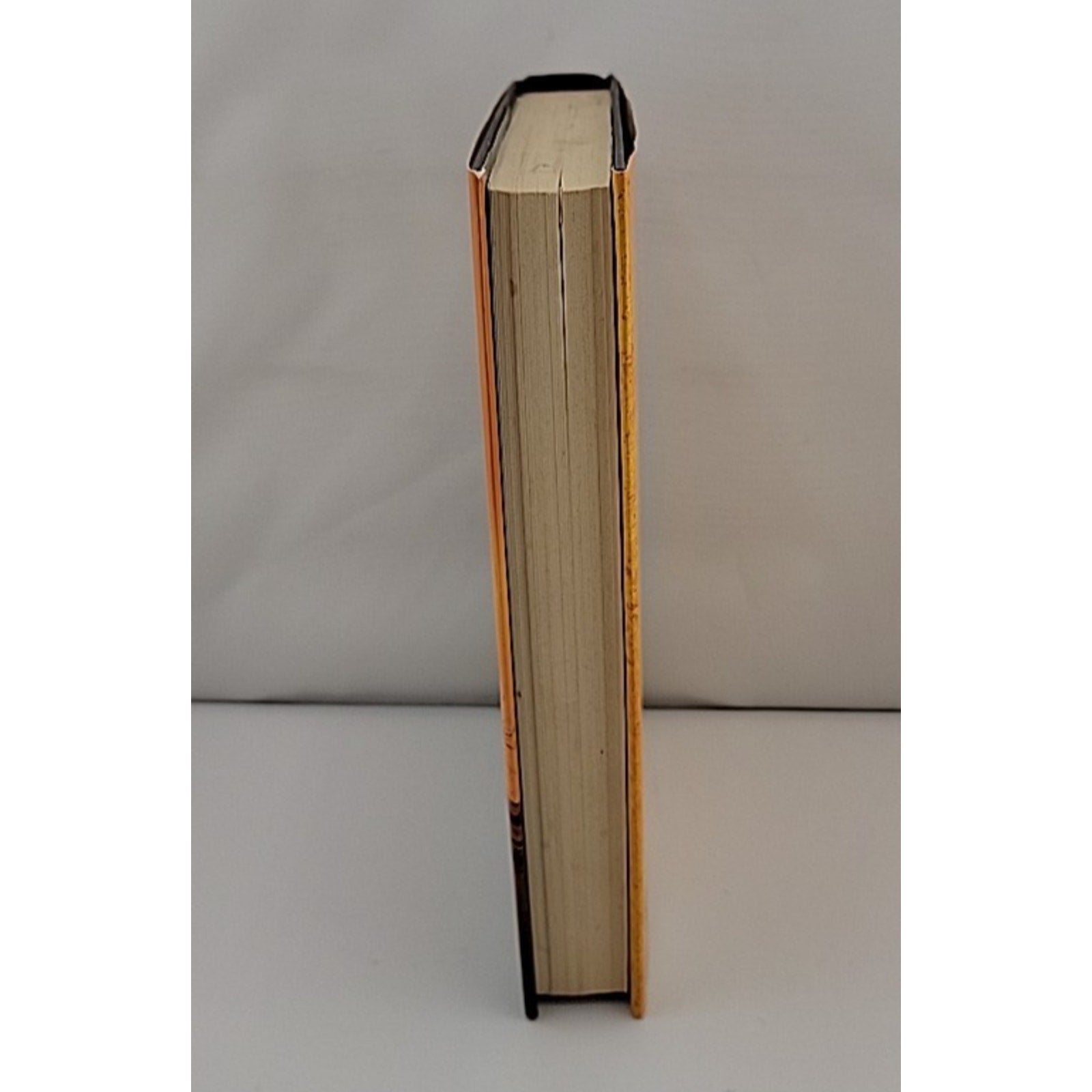 Devil's Labyrinth by John Saul (2007, Hardcover)