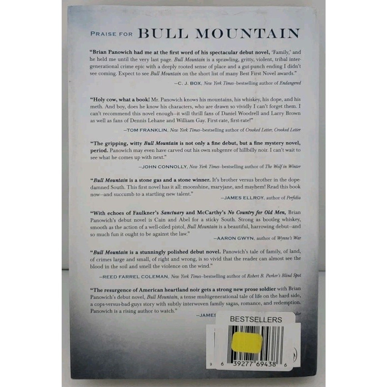 Bull Mountain by Brian Panowich (2015, Hardcover)