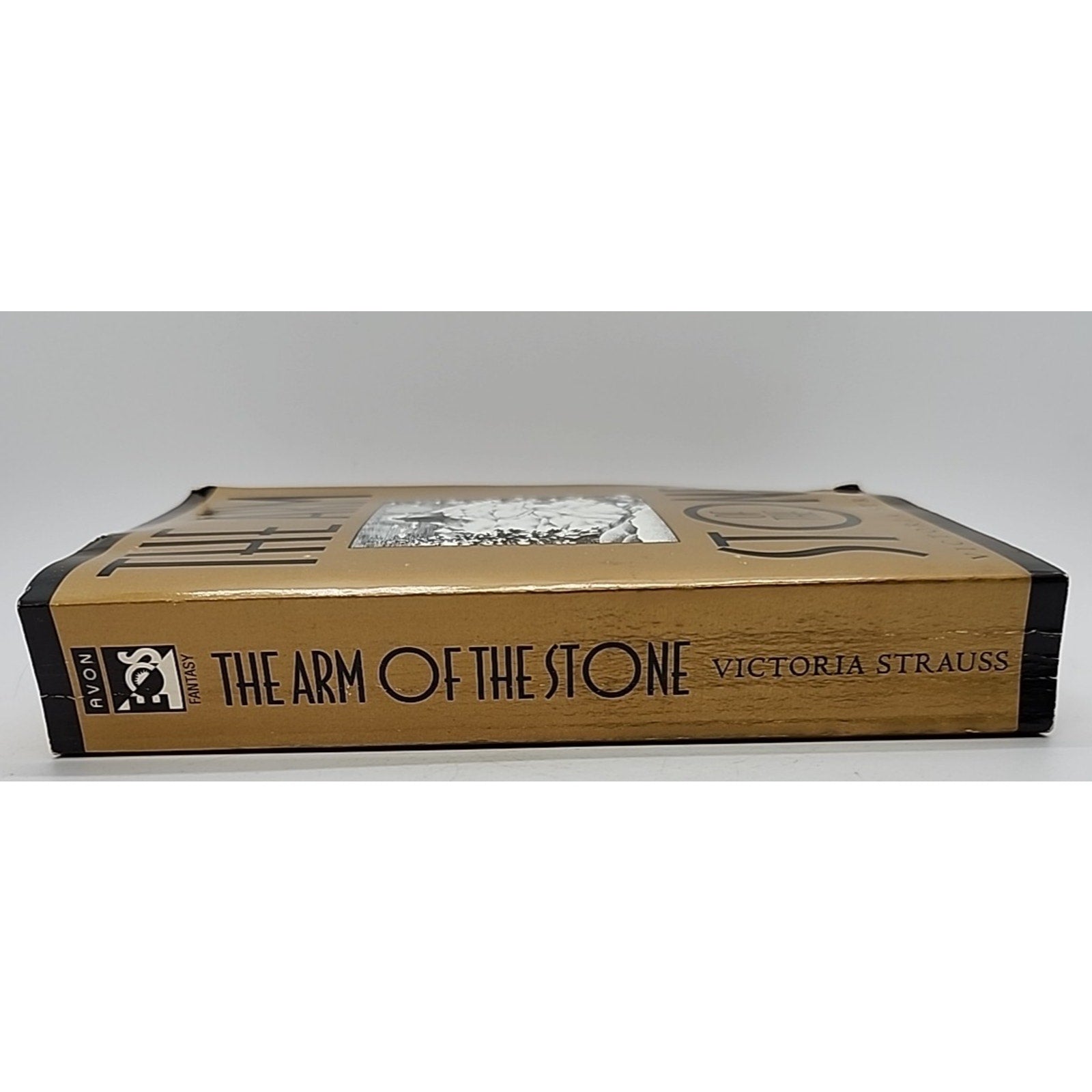 Arm of the Stone by Victoria Strauss (1998, Mass Market)