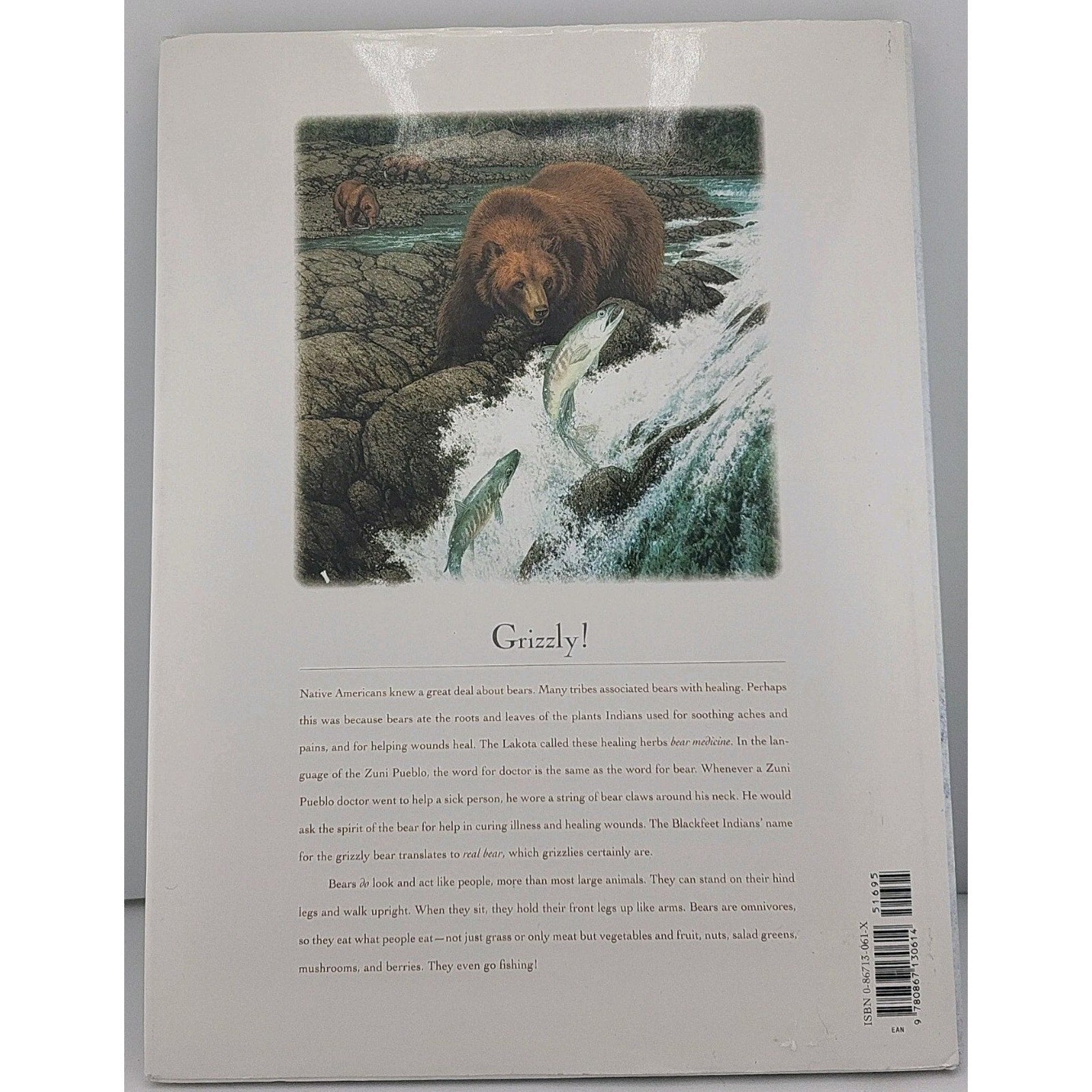 Reading the Wild by Bev Doolittle (2001, Hardcover)