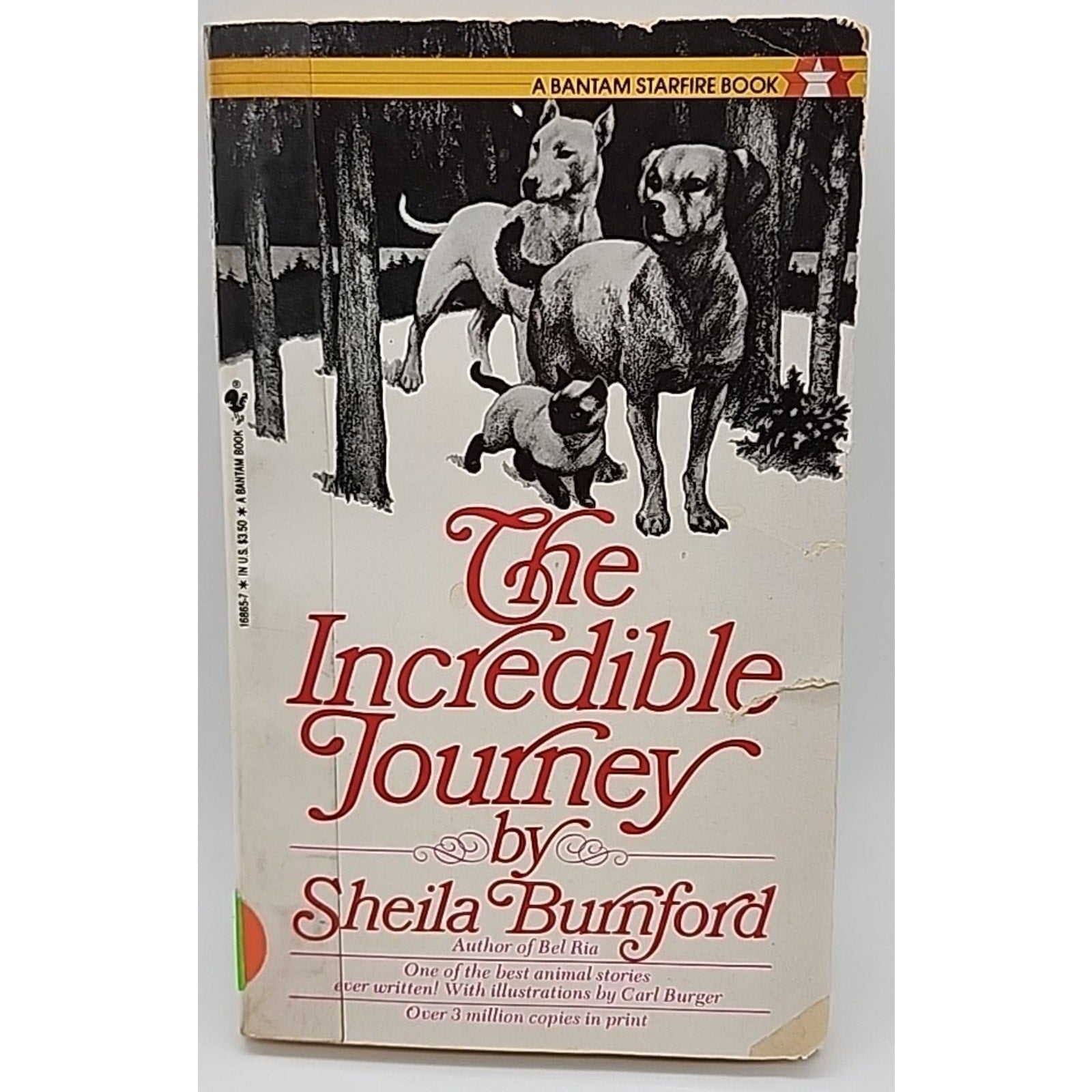The Incredible Journey (Paperback)