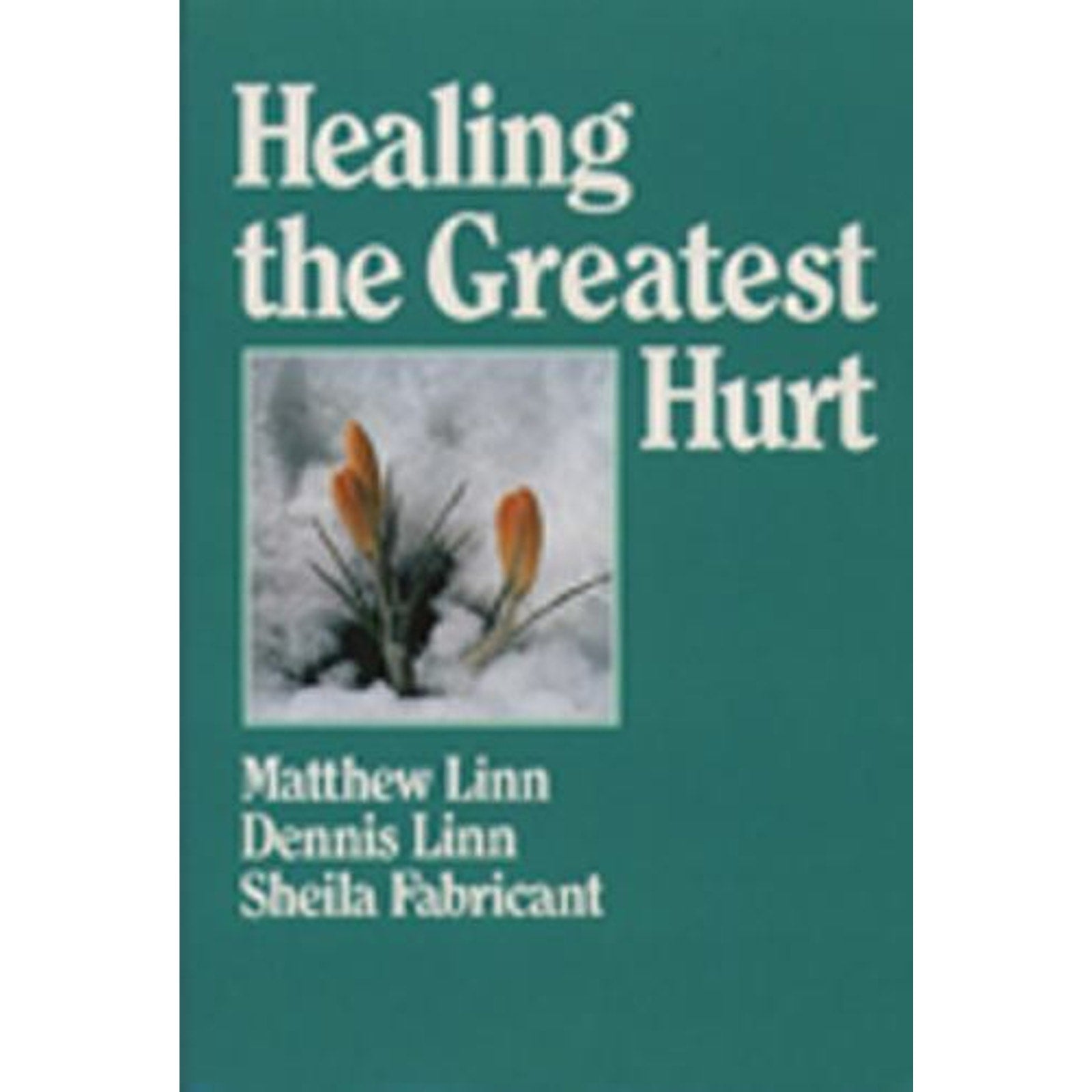Healing the Greatest Hurt : Healing Grief and the Family Tree by Matthew Linn, …
