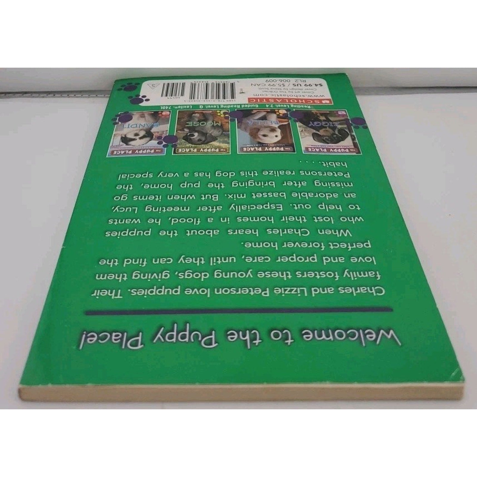 Lucy by Ellen Miles (2012, Trade Paperback)