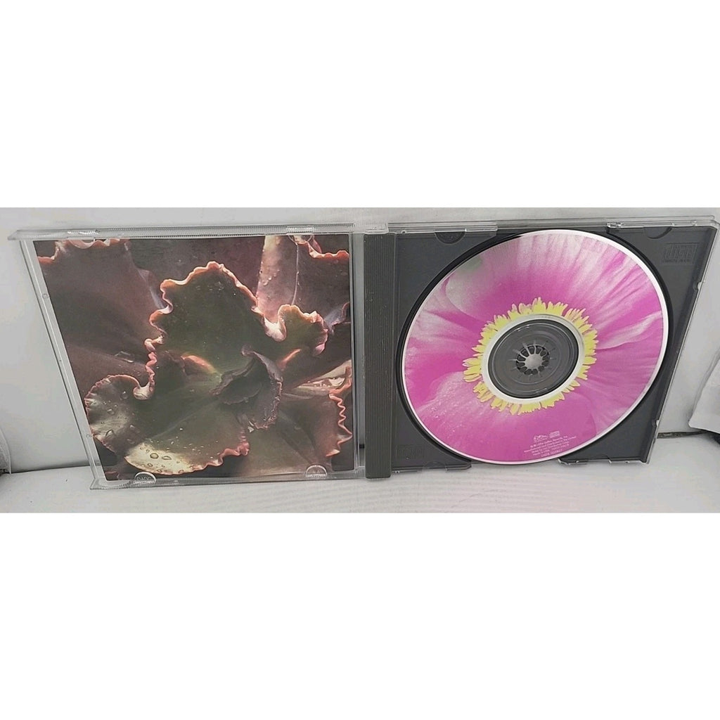 The Woman's Boat by Toni Childs (CD, Nov-1997, DGC)
