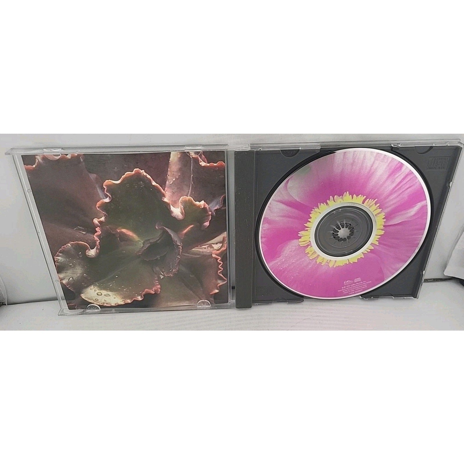The Woman's Boat by Toni Childs (CD, Nov-1997, DGC)
