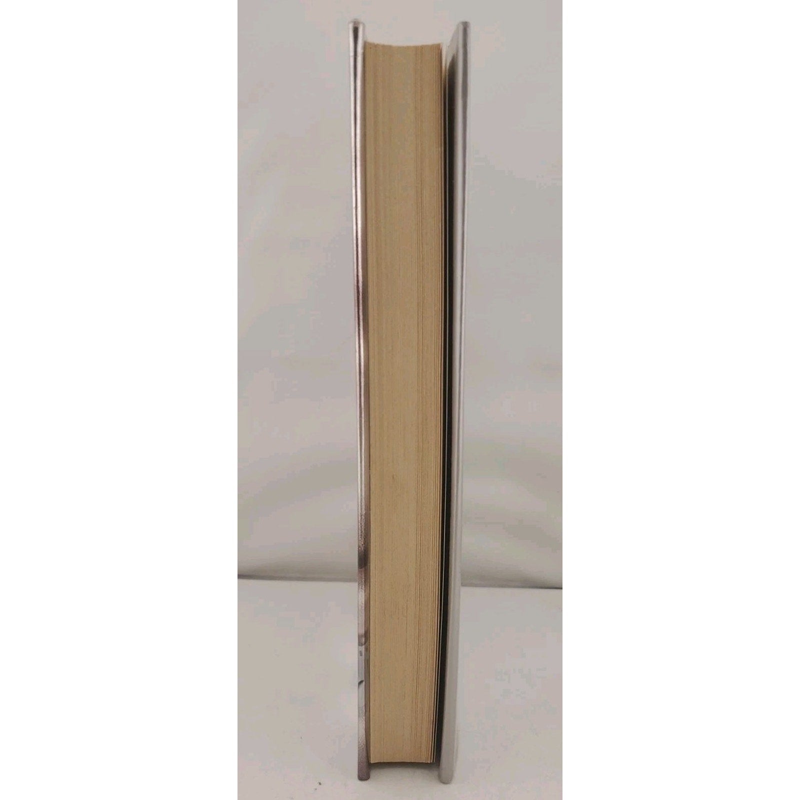 Dirt by Stuart Woods (1996, Hardcover)