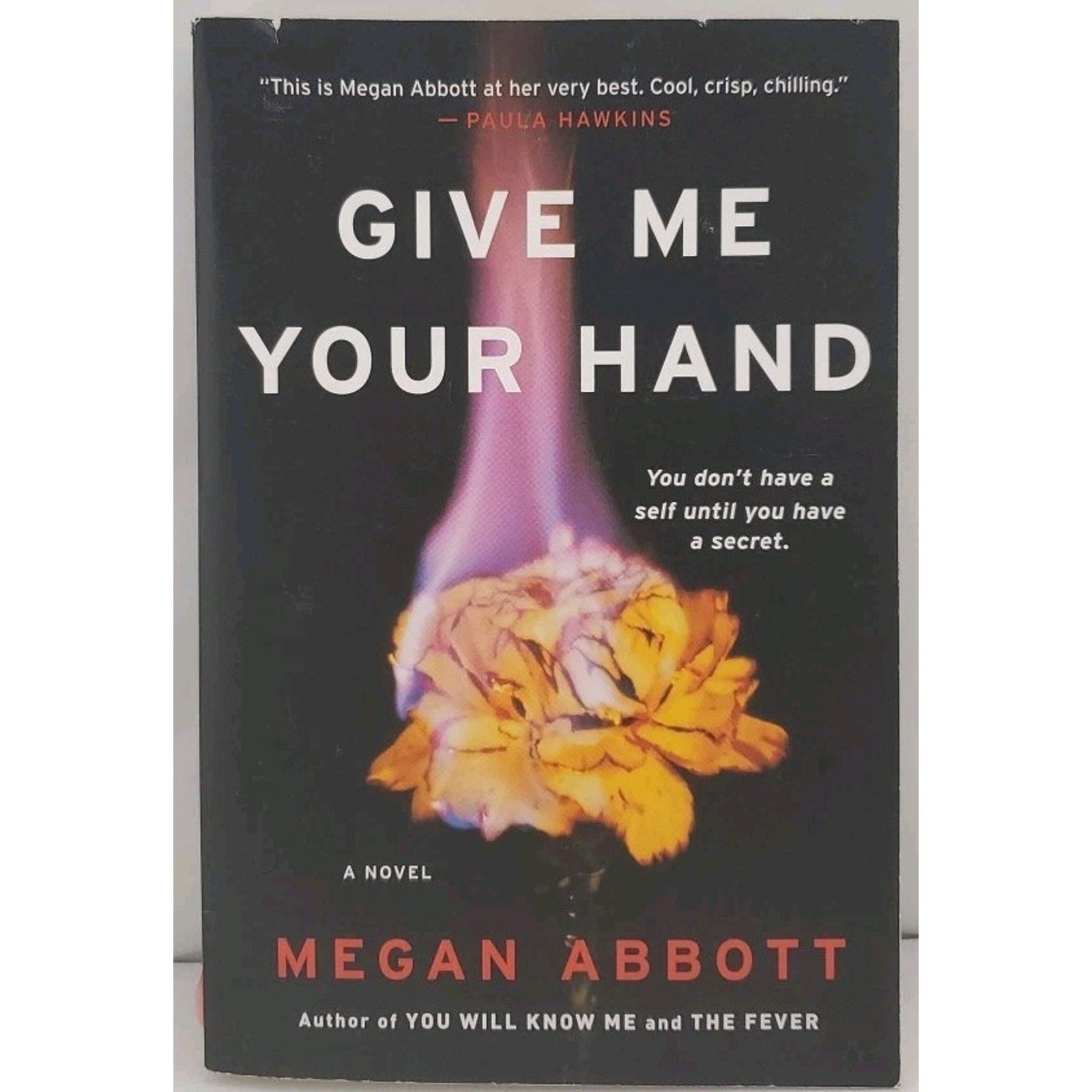 Give Me Your Hand by Megan Abbott (2019, Trade Paperback)