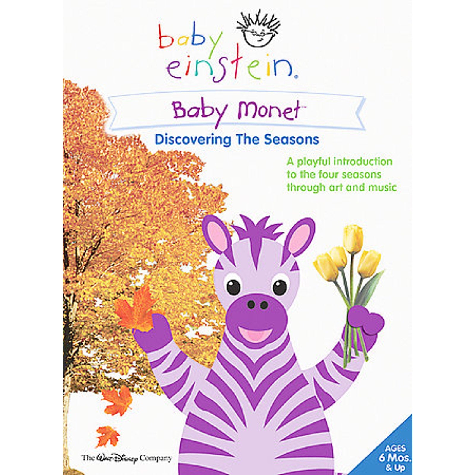 Baby Einstein: Baby Monet - Discovering The Seasons (DVD, 2005)