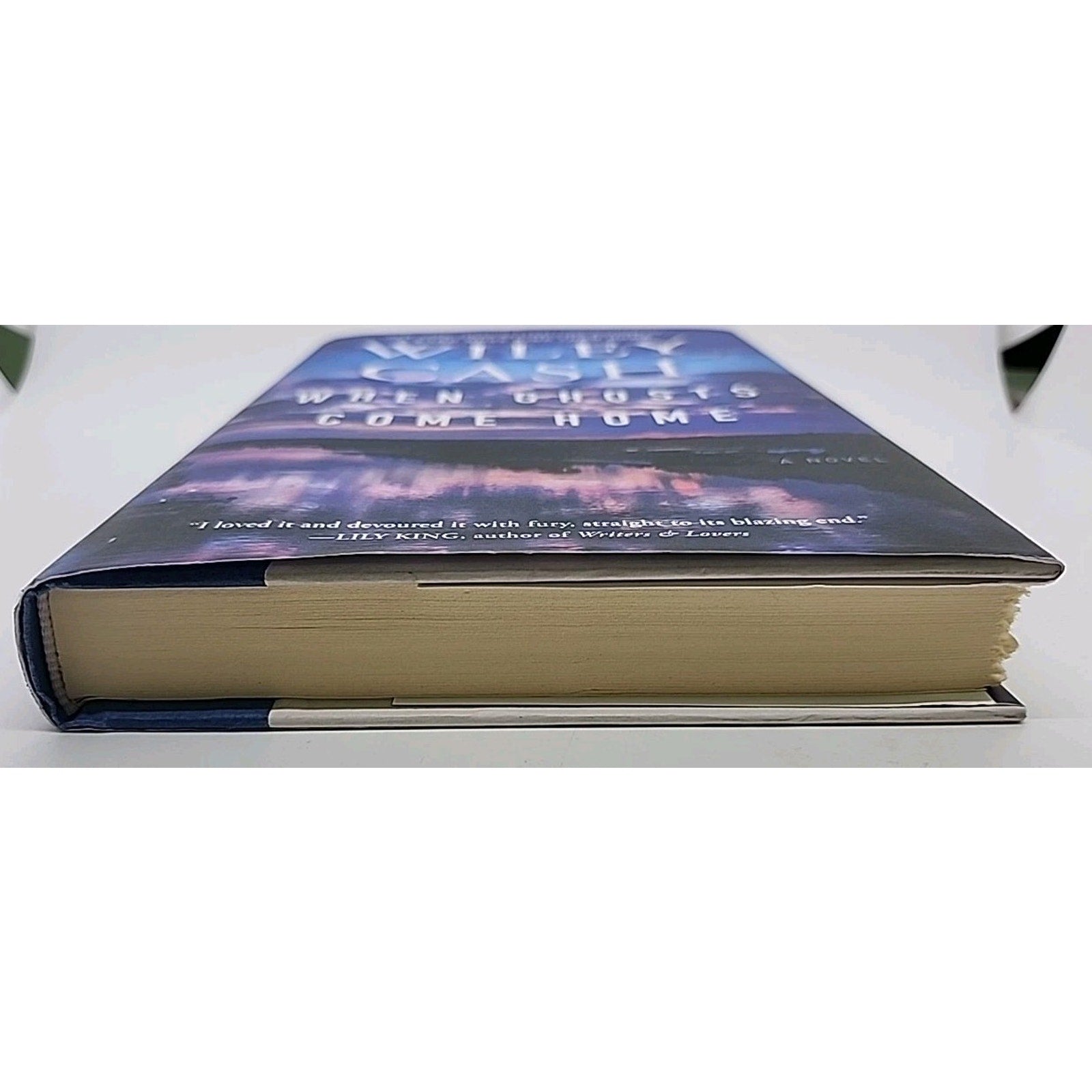 When Ghosts Come Home: A Novel Wiley Cash Hardcover 2021