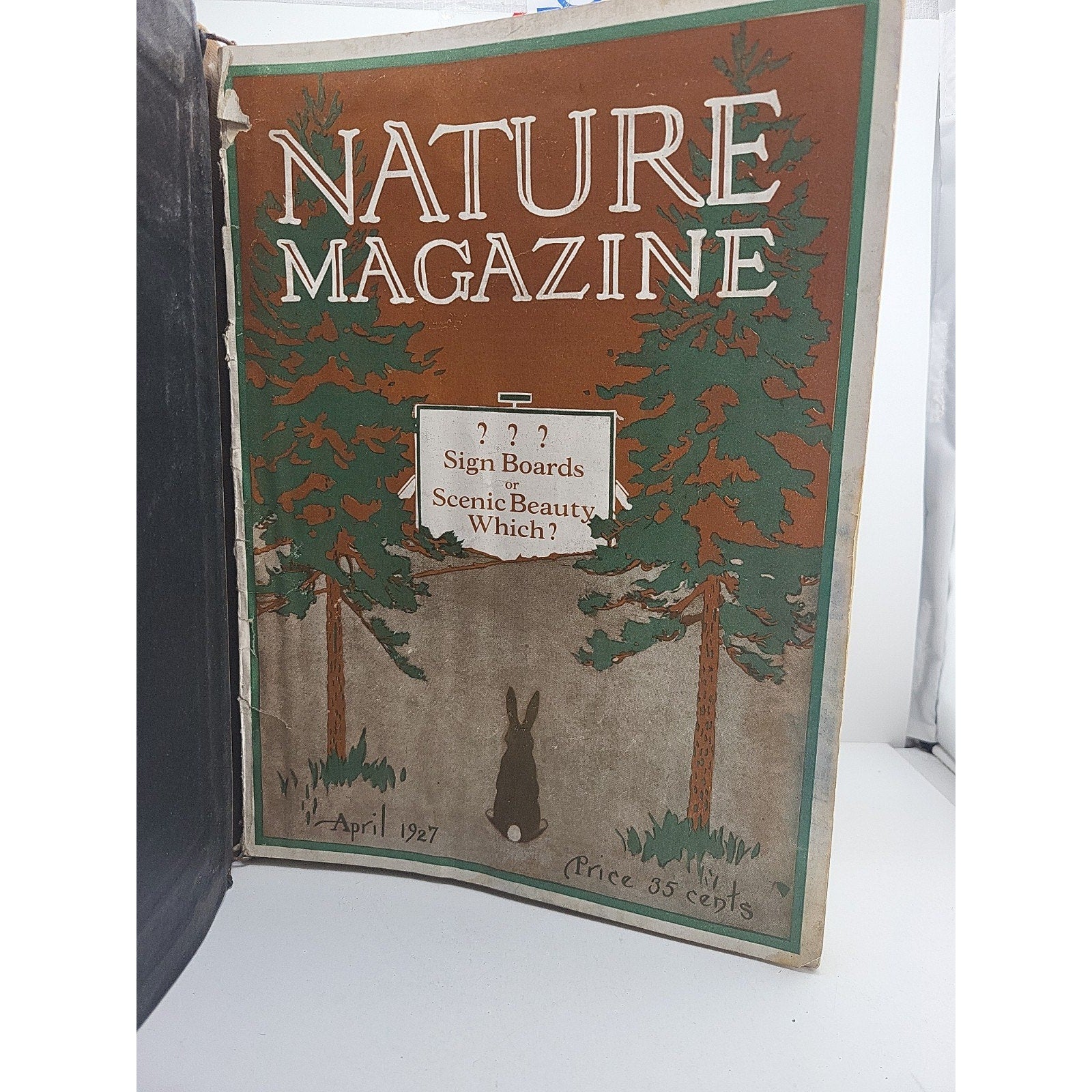1927 Nature Magazine-12 Months In Embossed Green Leather Album Texas Issue.