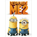 Despicable Me 2 (DVD, 2013)