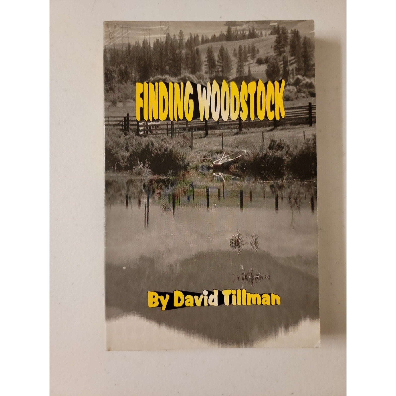 Finding Woodstock by David Tillman (1999, Trade Paperback)
