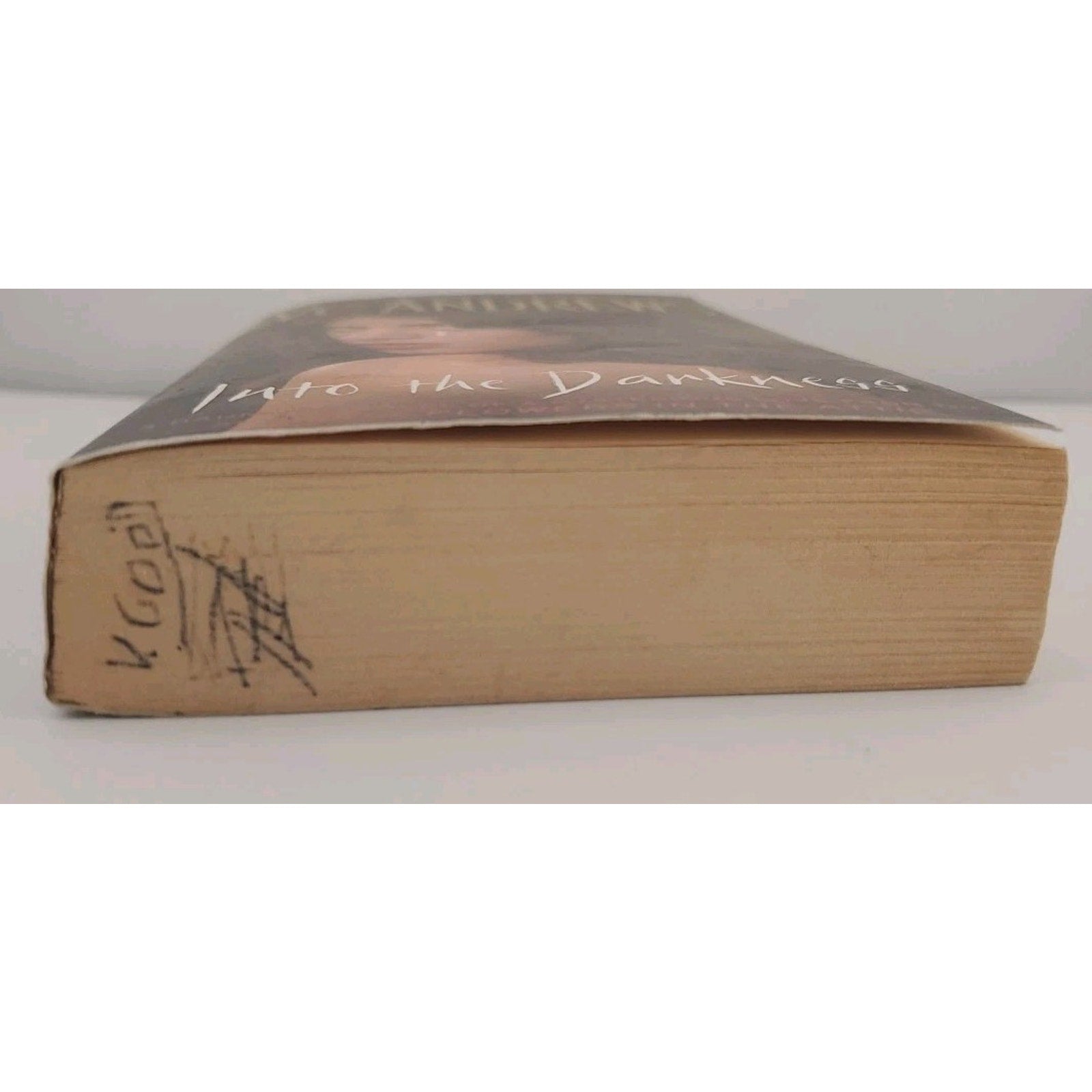 Into the Darkness by V. C. Andrews (2012, Mass Market)