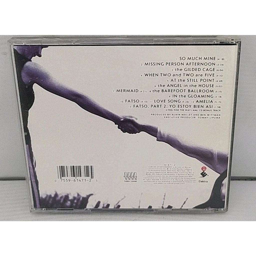 Angel in the House by Story (CD, 1993)