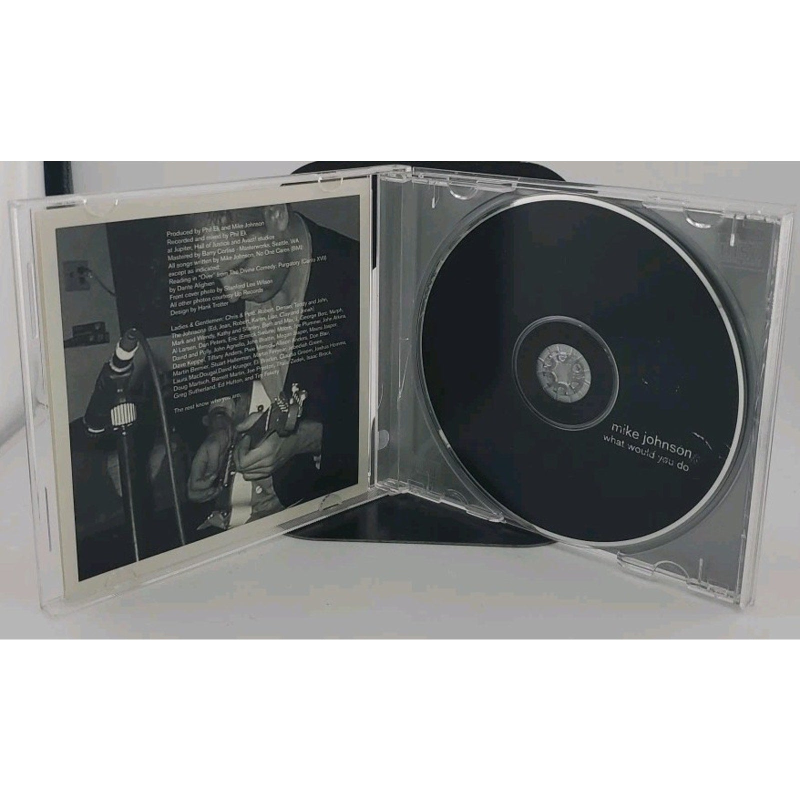 What Would You Do by Mike Johnson (Dinosaur Jr.) (CD, Aug-2002, Up)