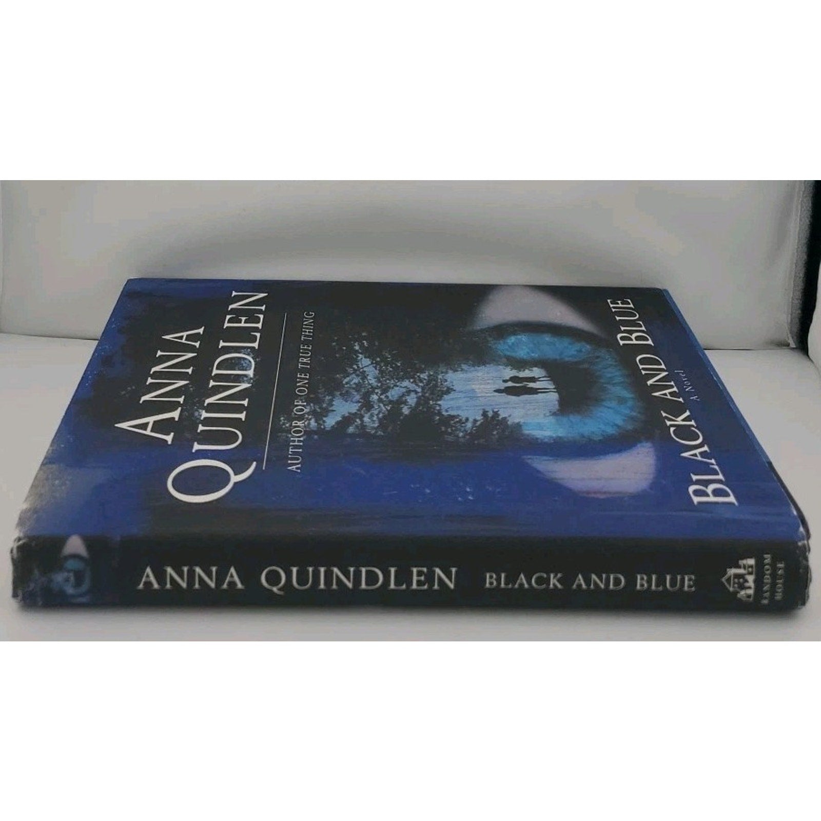 Black and Blue by Anna Quindlen (1998, Hardcover)